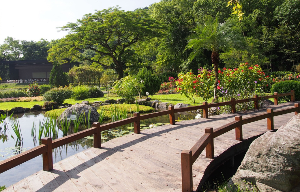 達麓岸.秘境森林.八通關.原民經典三日
