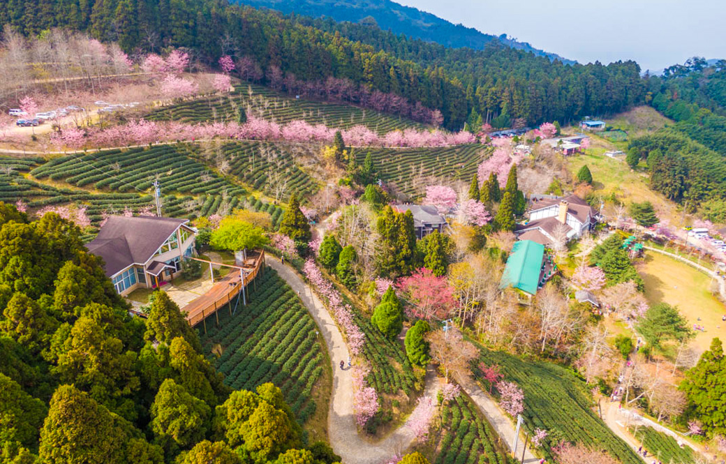雪霸國家公園.山上人家.慢活三日
