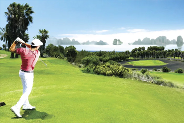 河內悠閒擊球趣~五日三場球~