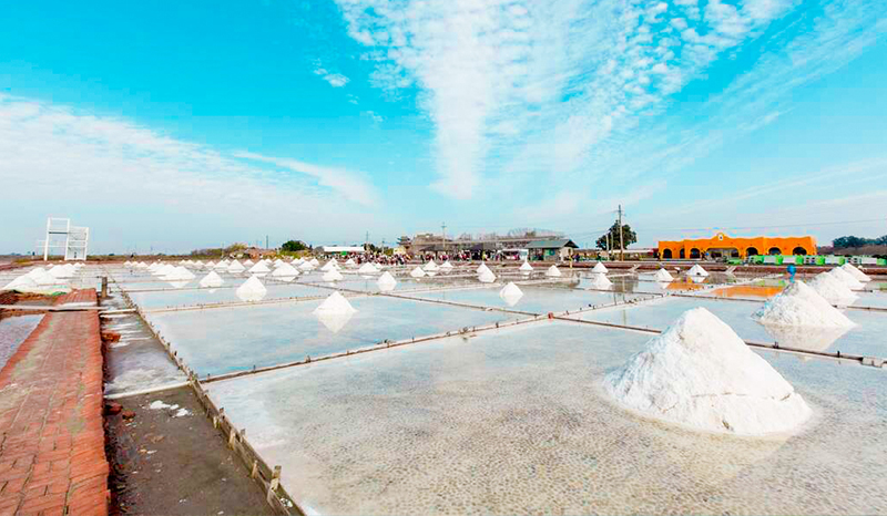 探訪鹽之道.濱海風情.北門鹽田秘境生態之旅一日遊